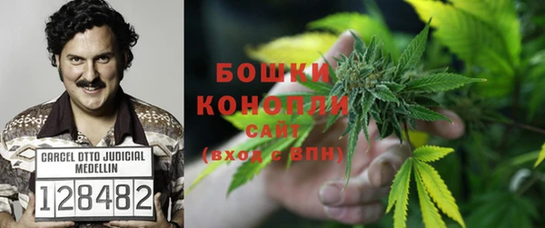 mix Касимов