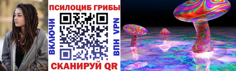 Купить закладки  Боровск  Псилоцибиновые грибы прущие грибы 